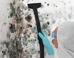 Best Commercial Mold Inspection  in USA